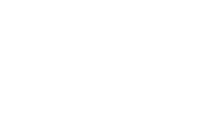 2017年入社